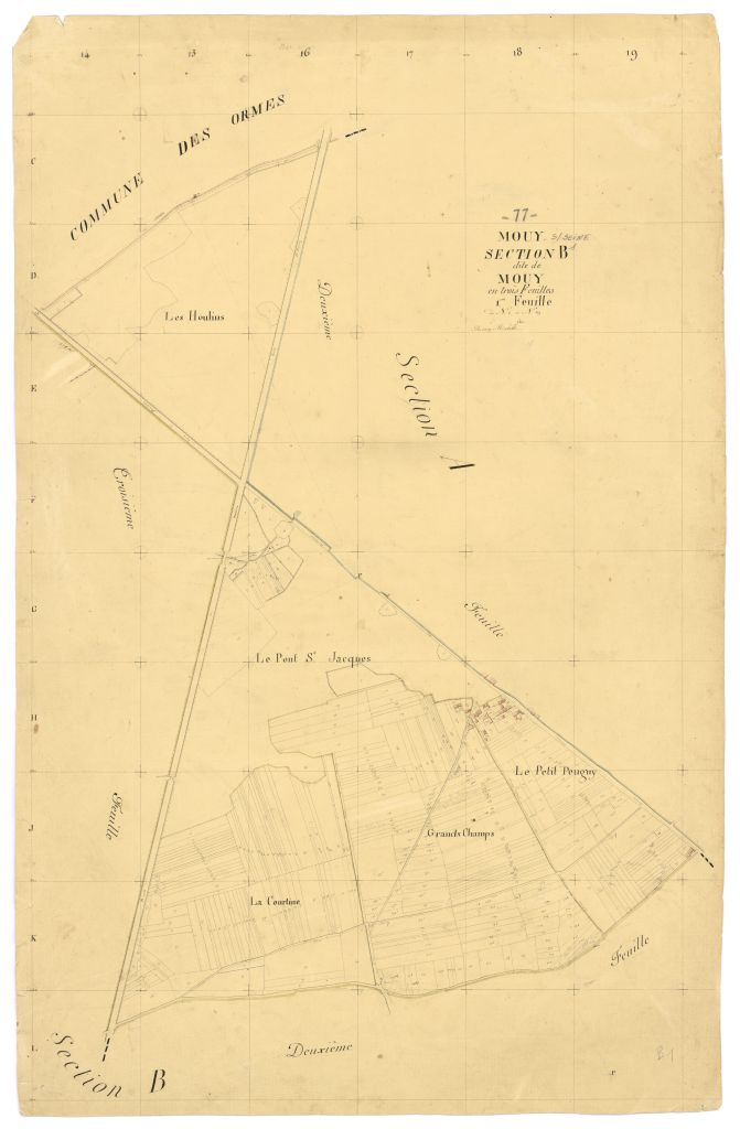 Section B1
