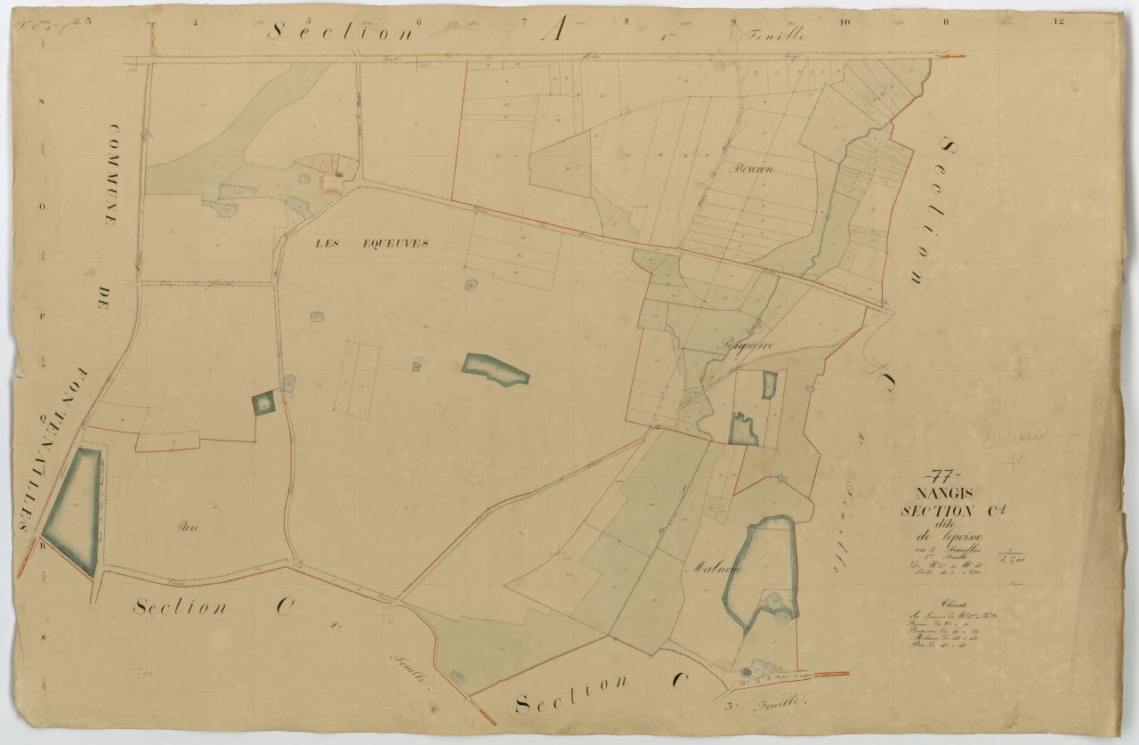 Section C1