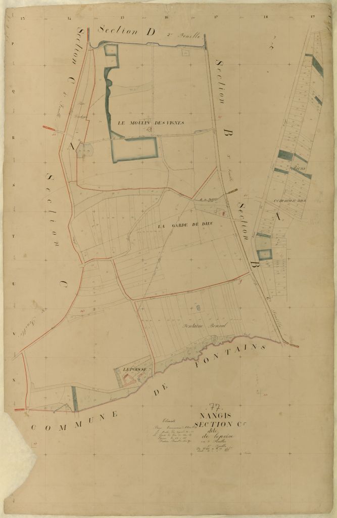 Section C5