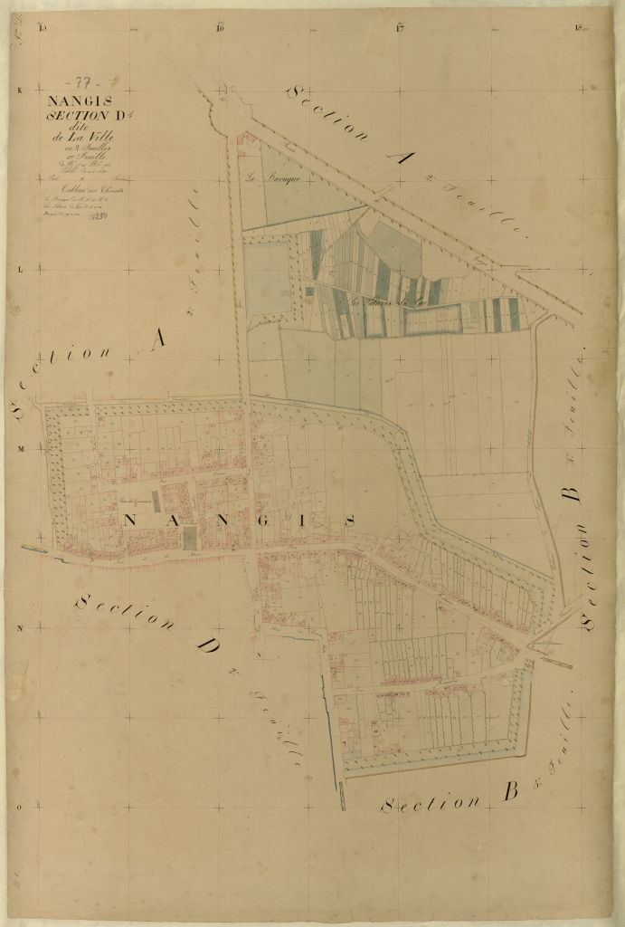 Section D1