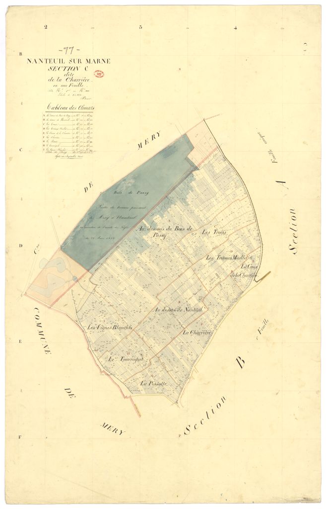 Section C dite de Chariere, feuille unique