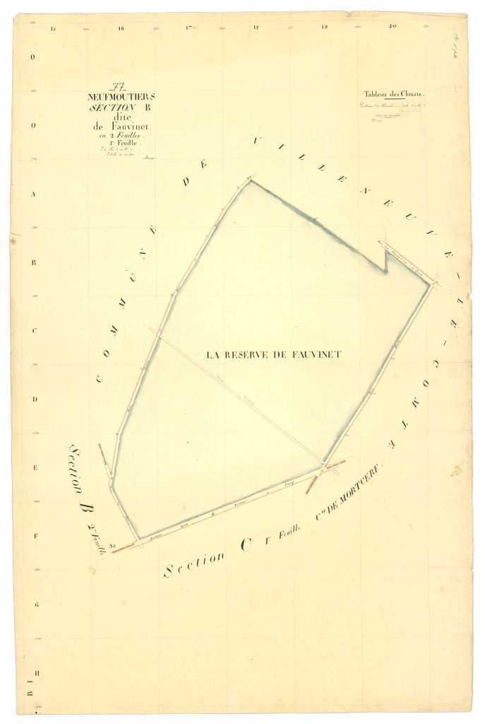 Section B1