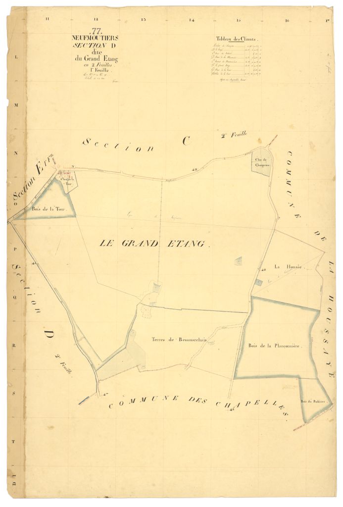 Section D1 dite du Grand-Etang