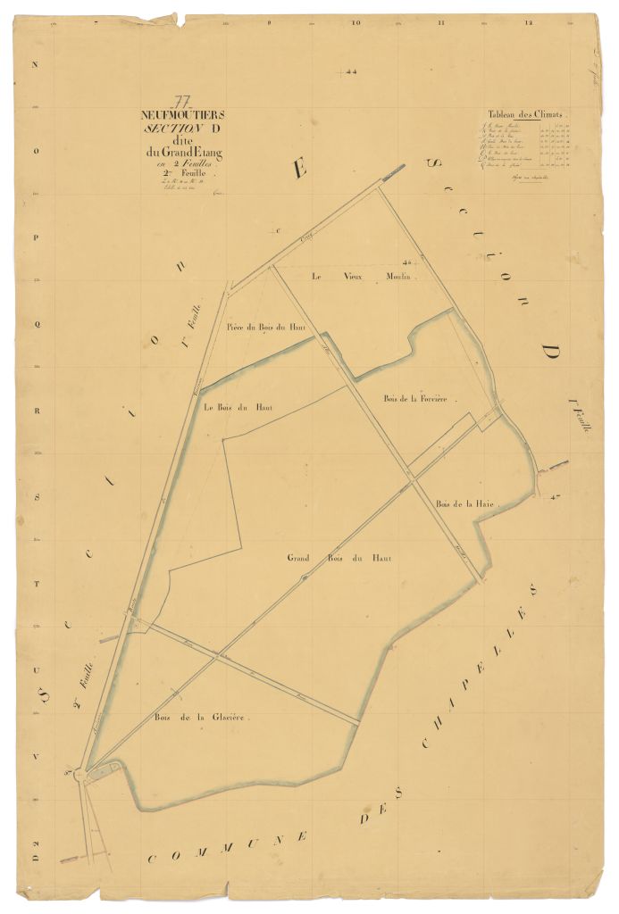 Section D2