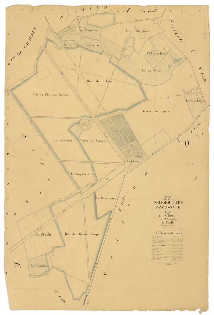 Section E1