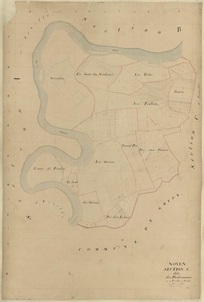 Section C1
