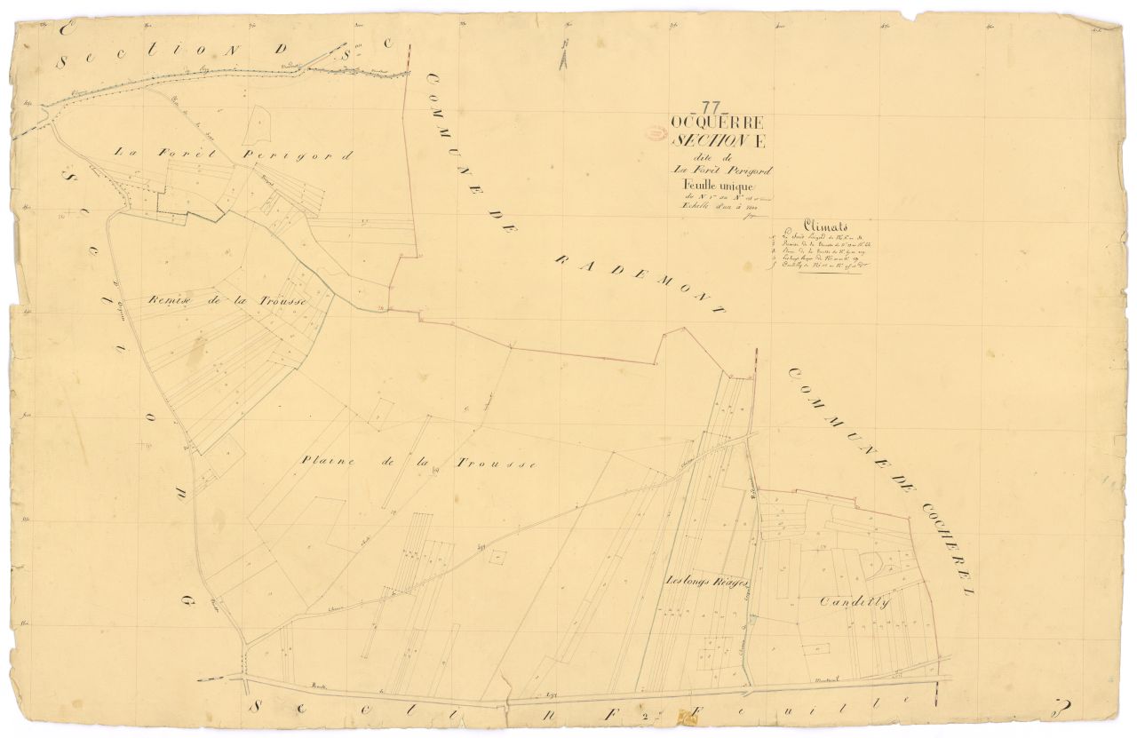 Section E dite de la Foret-Perigord, feuille unique