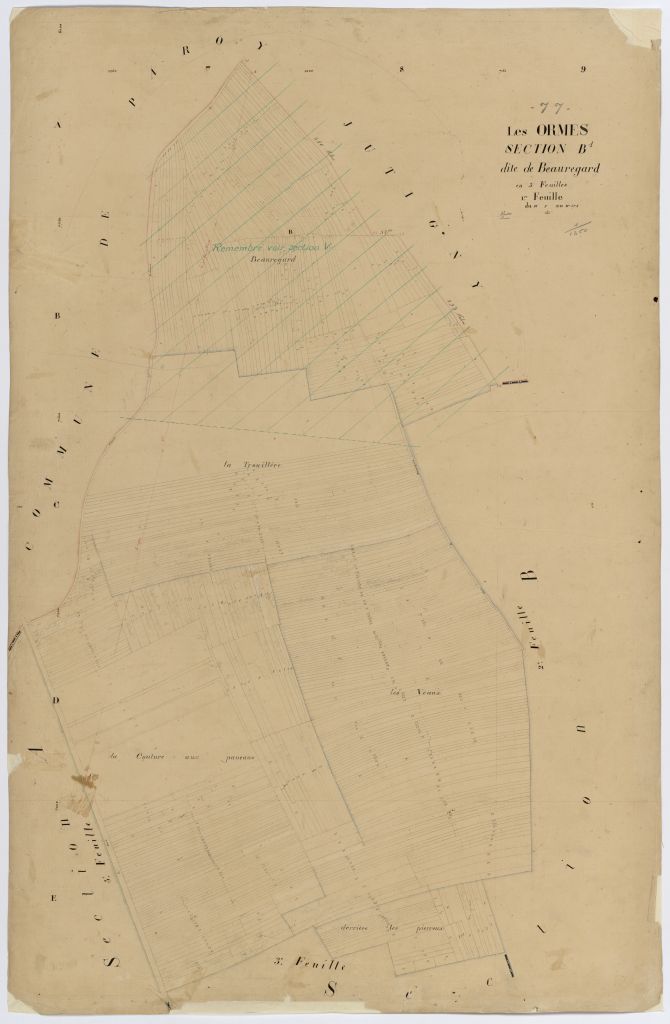 Section B1