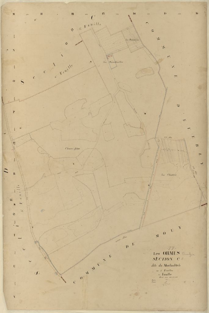 Section C5