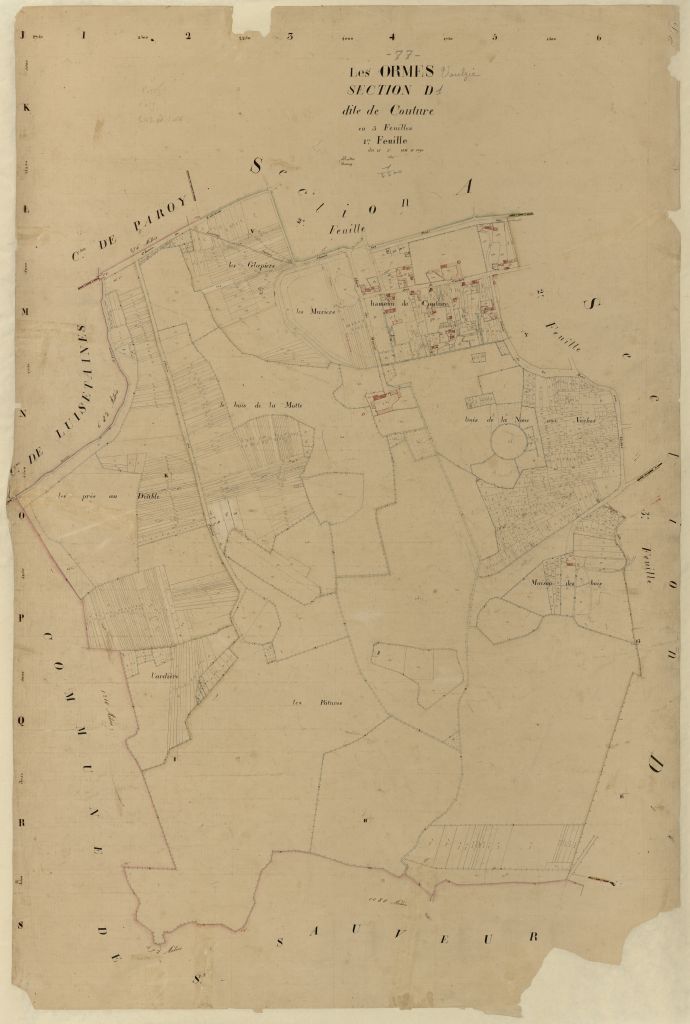 Section D1