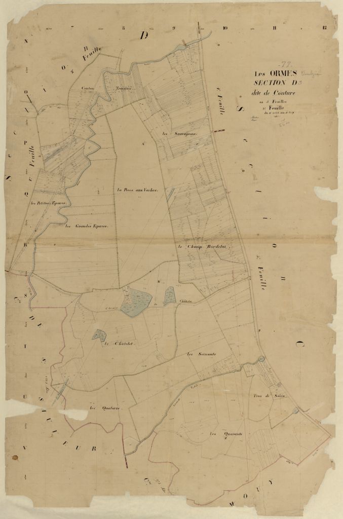 Section D3