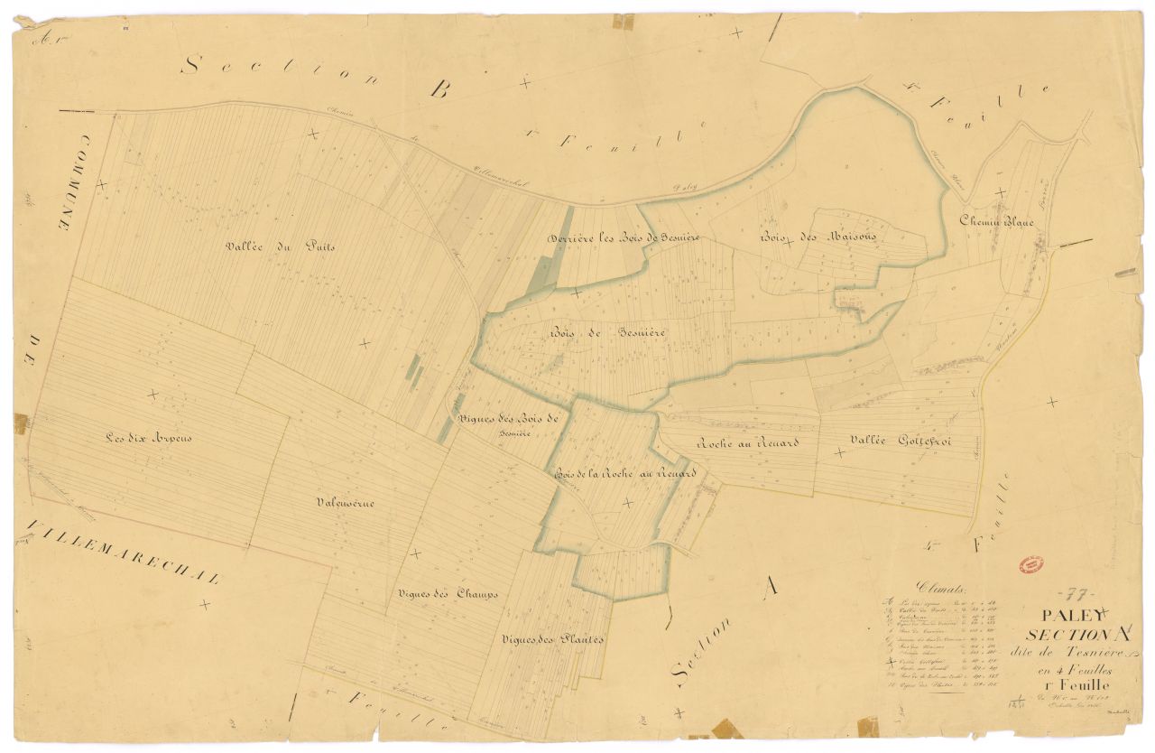 Section A dite de Tesniere, en 4 feuilles, 1ere feuille