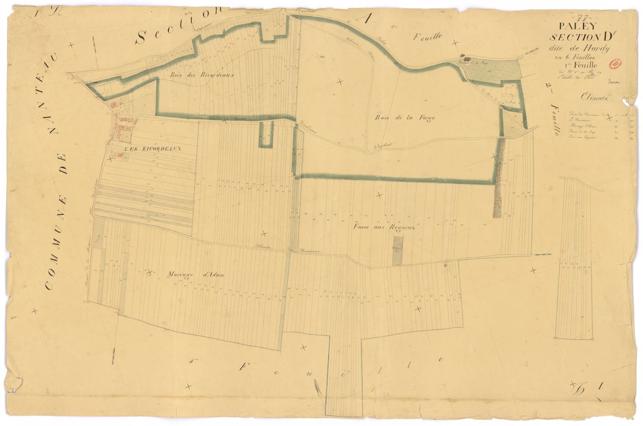 Section D dite de Hardy, en 6 feuilles, 1ere feuille