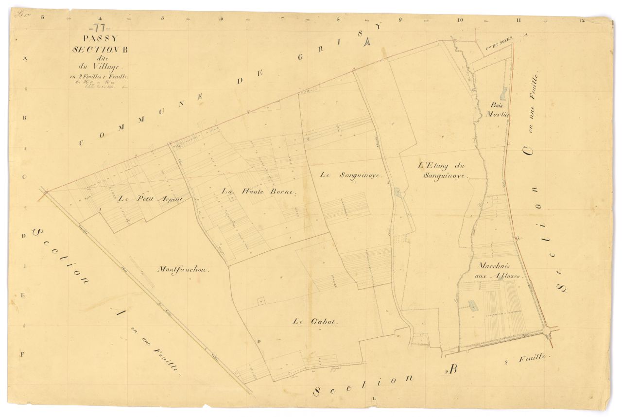 Section B1
