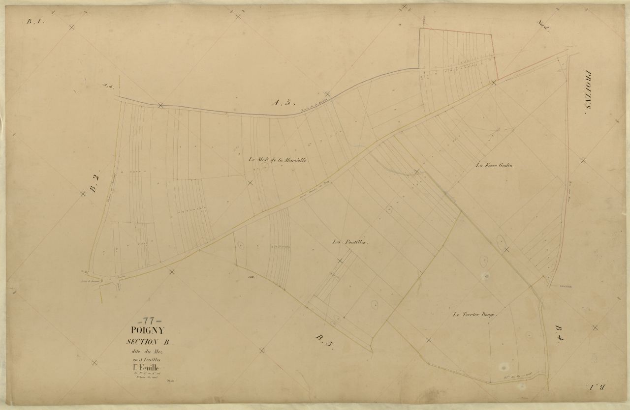 Section B1