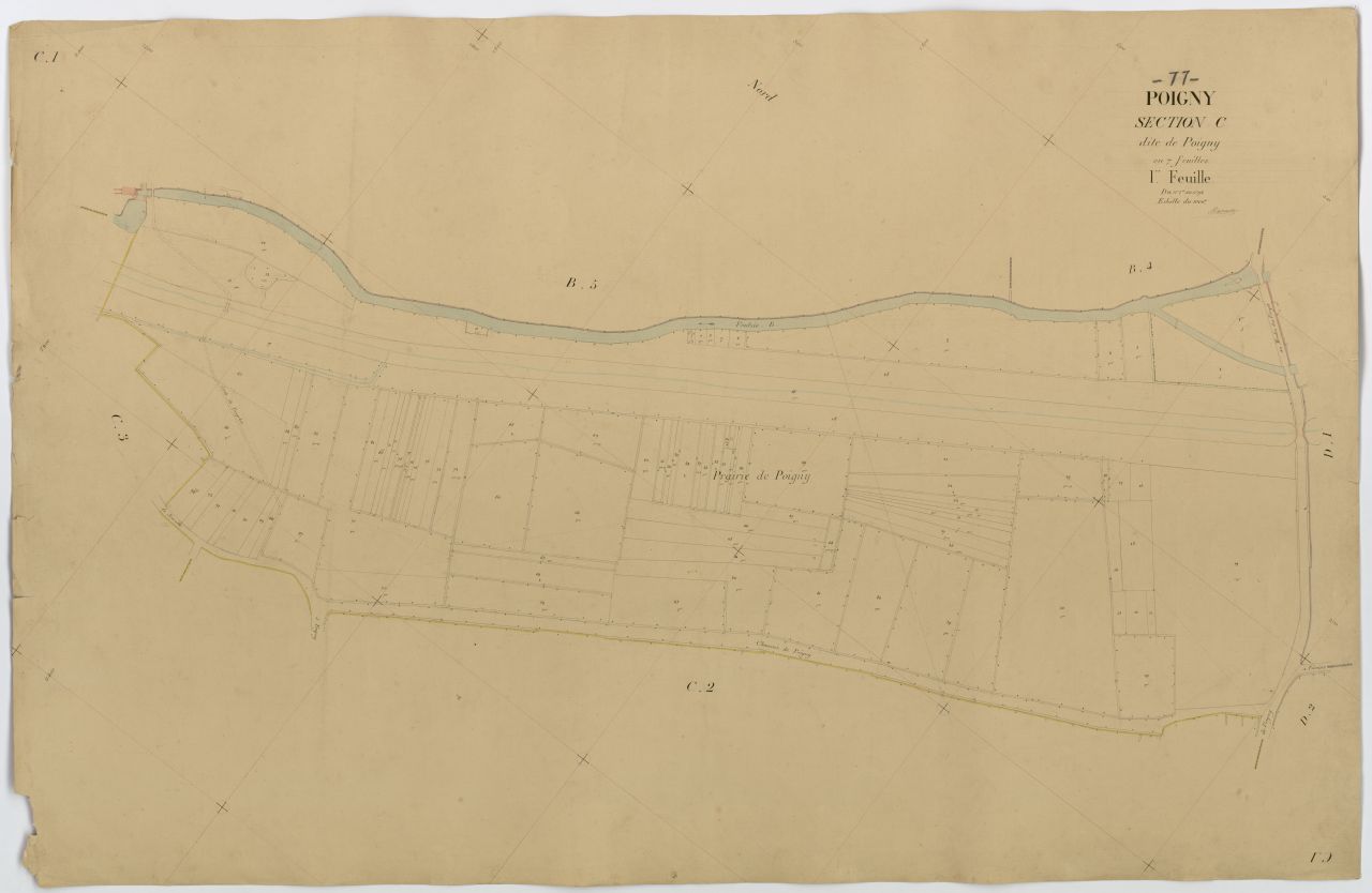 Section C1