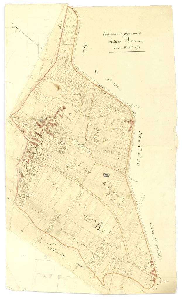 minute, section B