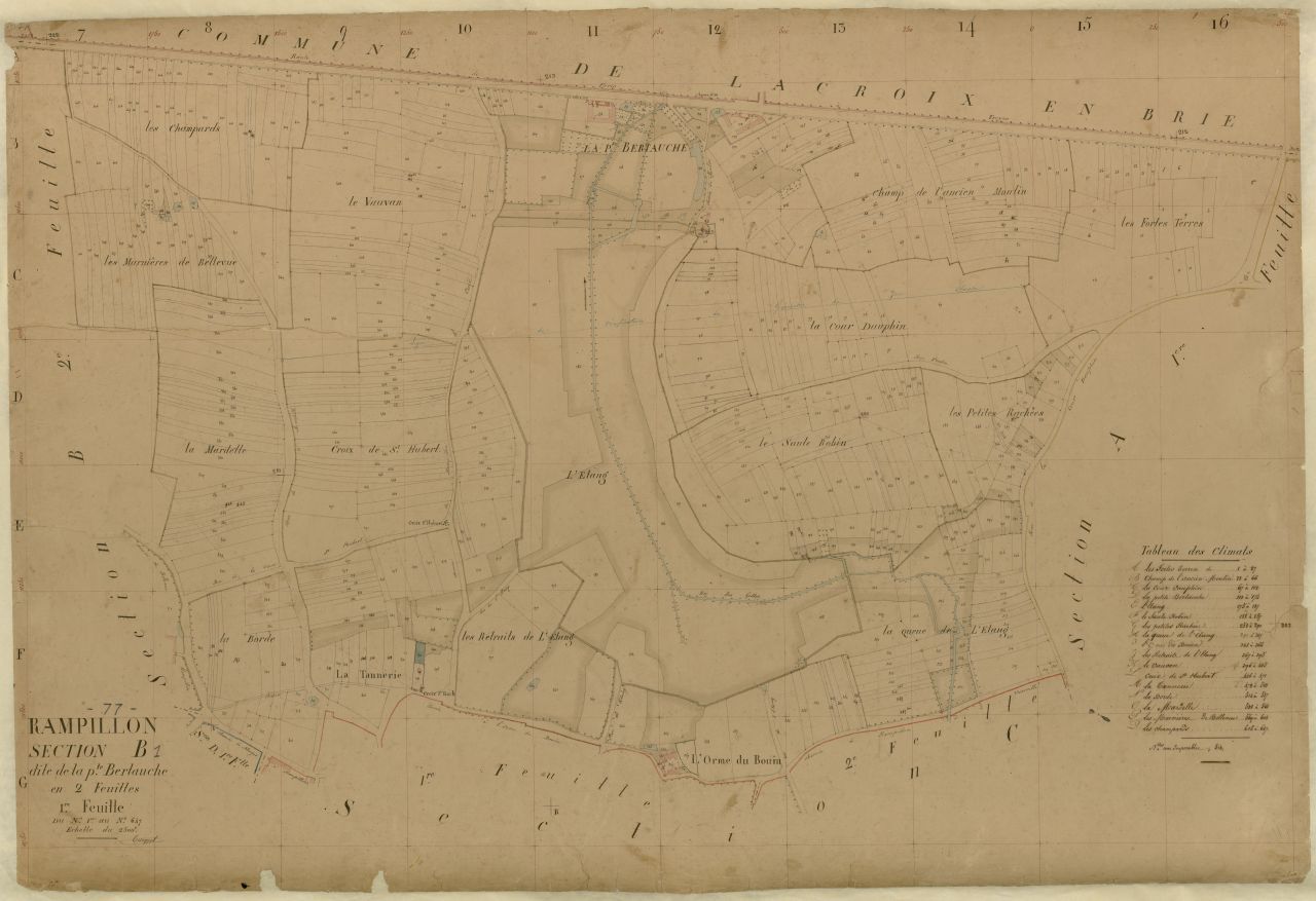 Section B1