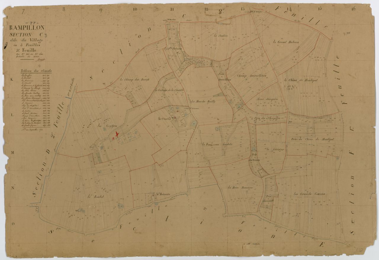 Section C3