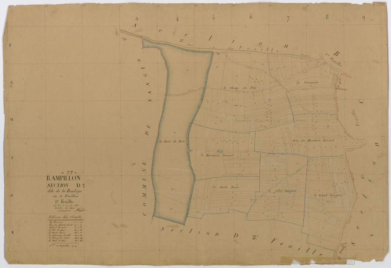 Section D1