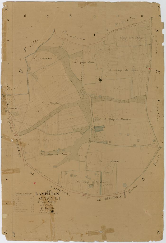 Section E1