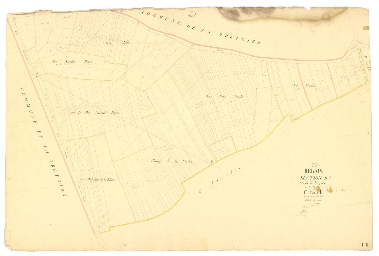 Section B1