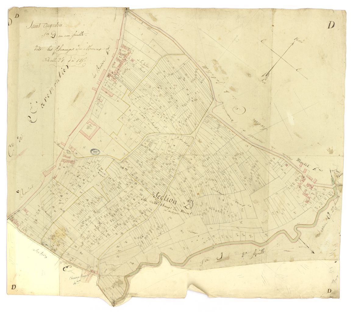 minute, section D