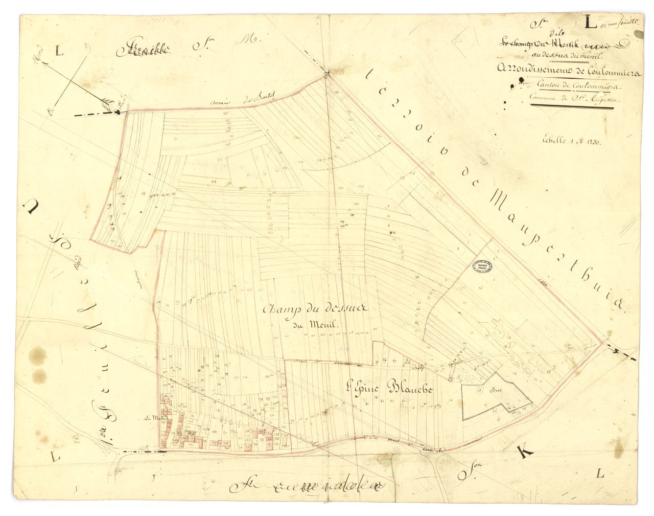 minute, section L