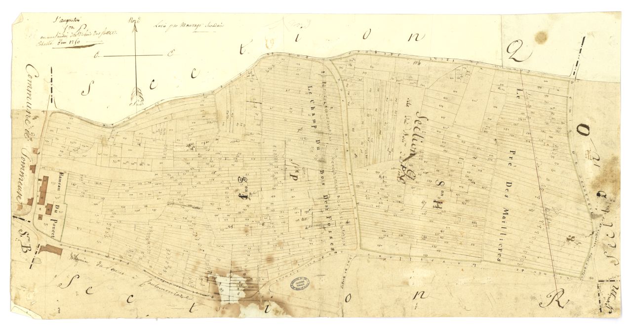 minute, section P