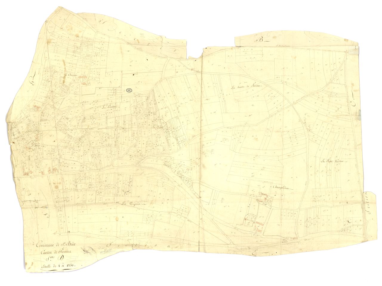minute, section D
