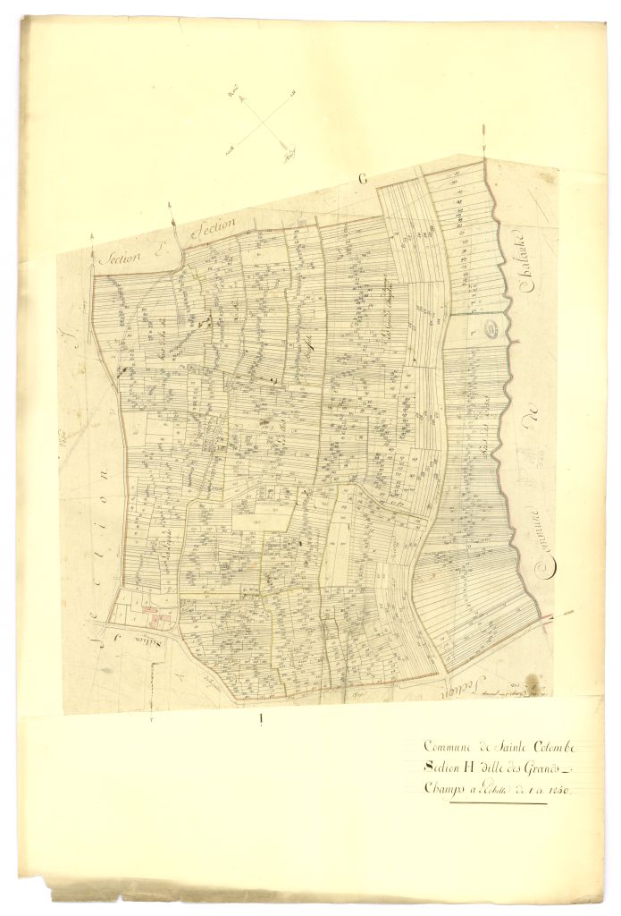 minute, section H