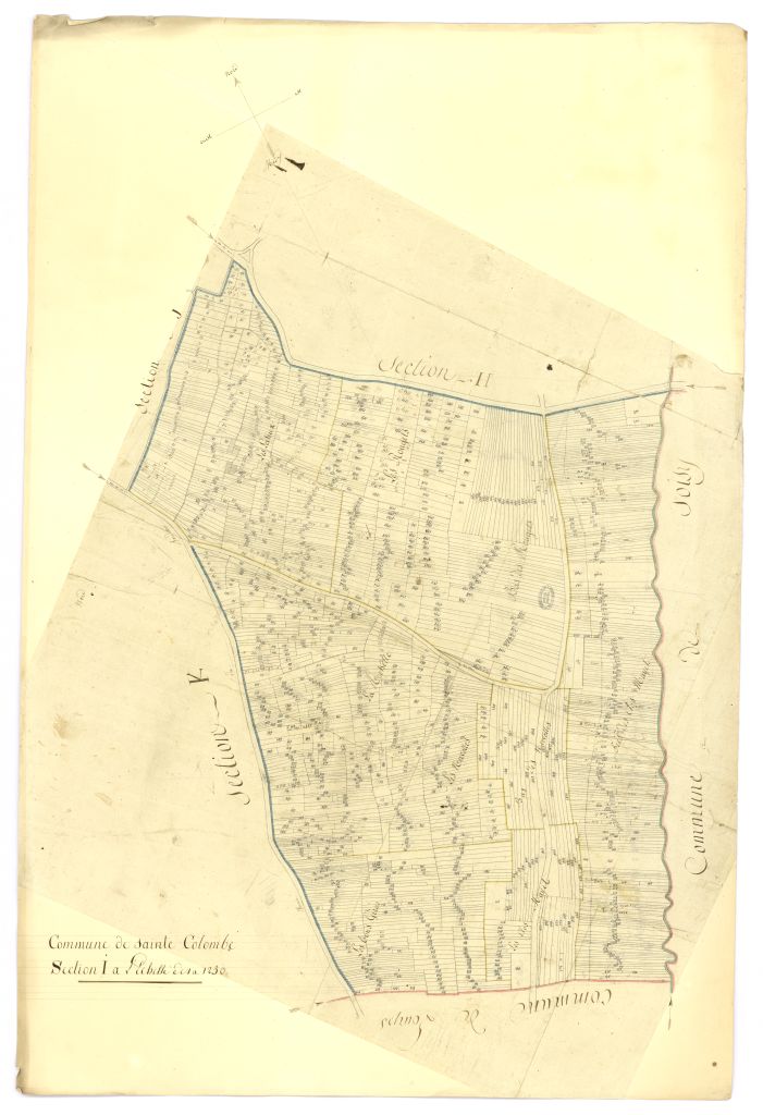 minute, section I