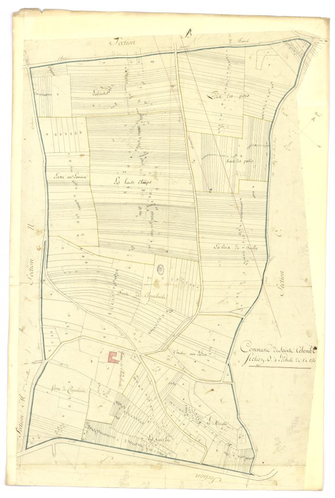 minute, section O