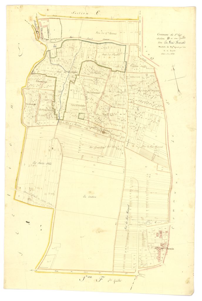 minute, section D