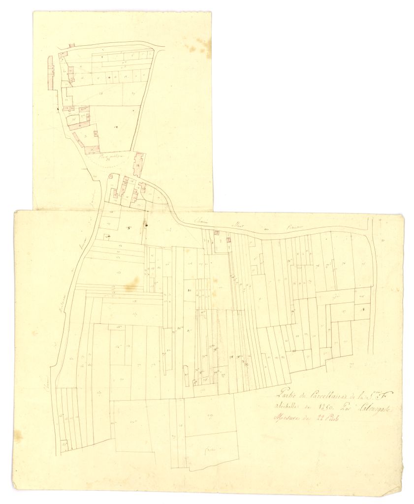 minute, section F