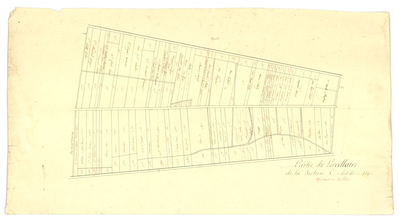 copie, section C