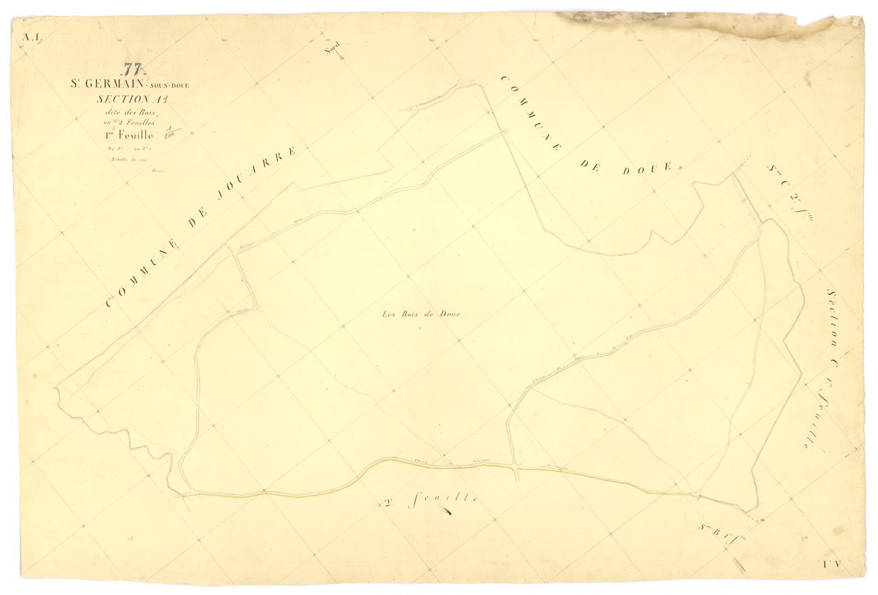 Section A1