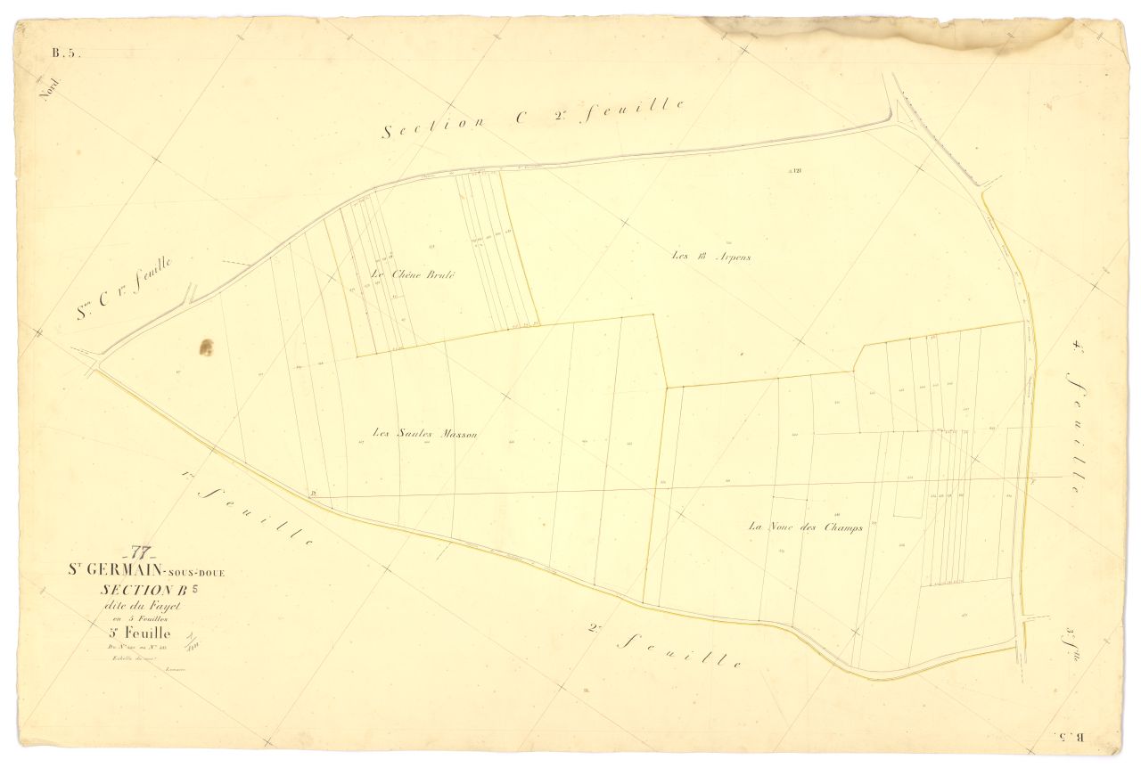 Section B5