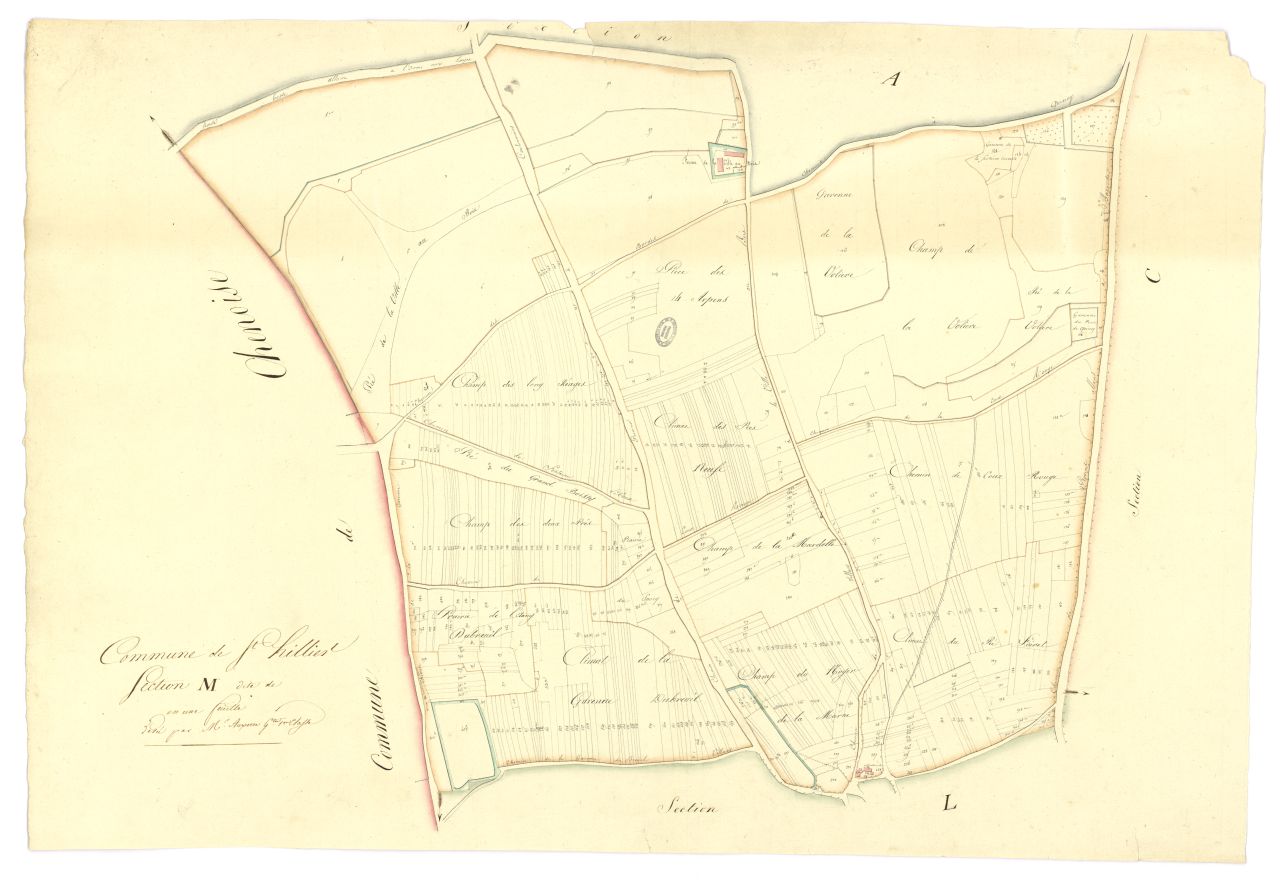copie, section M