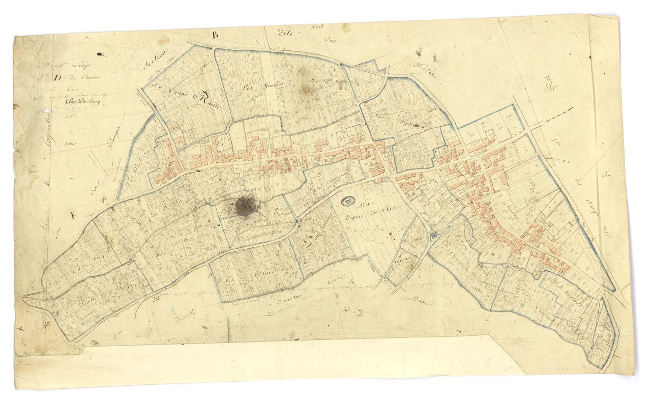 minute, section D