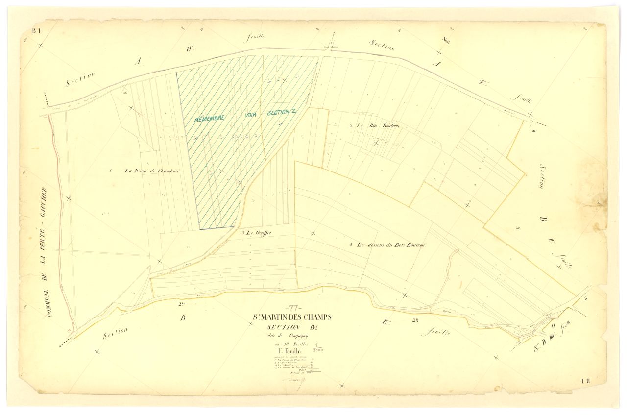 Section B1