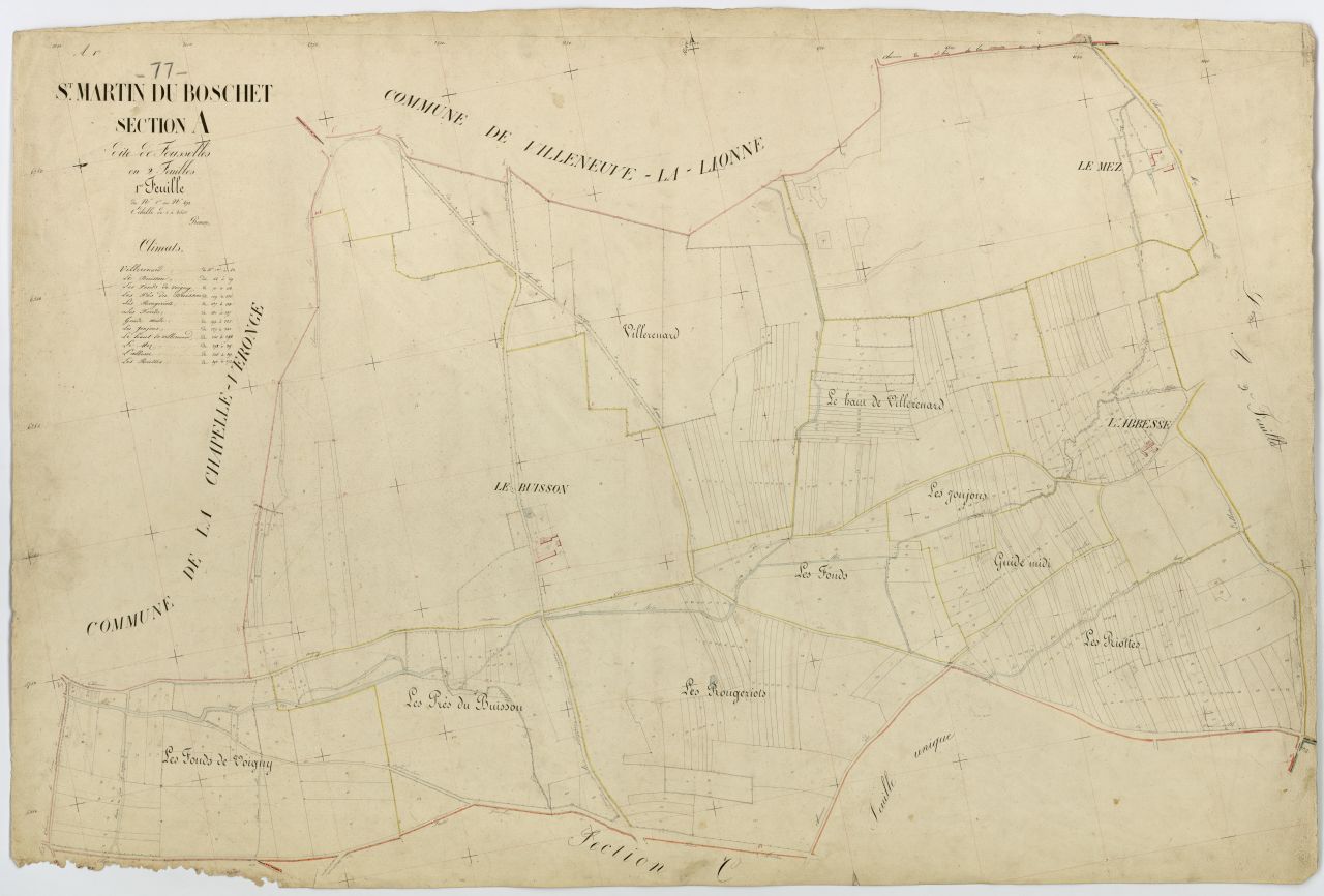 Section A1
