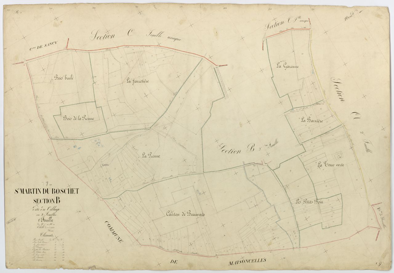 Section B1