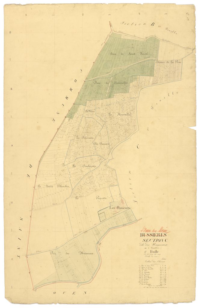 Section C1