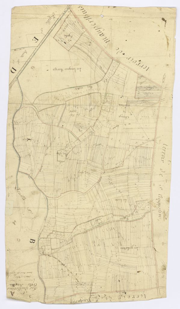 minute, section A