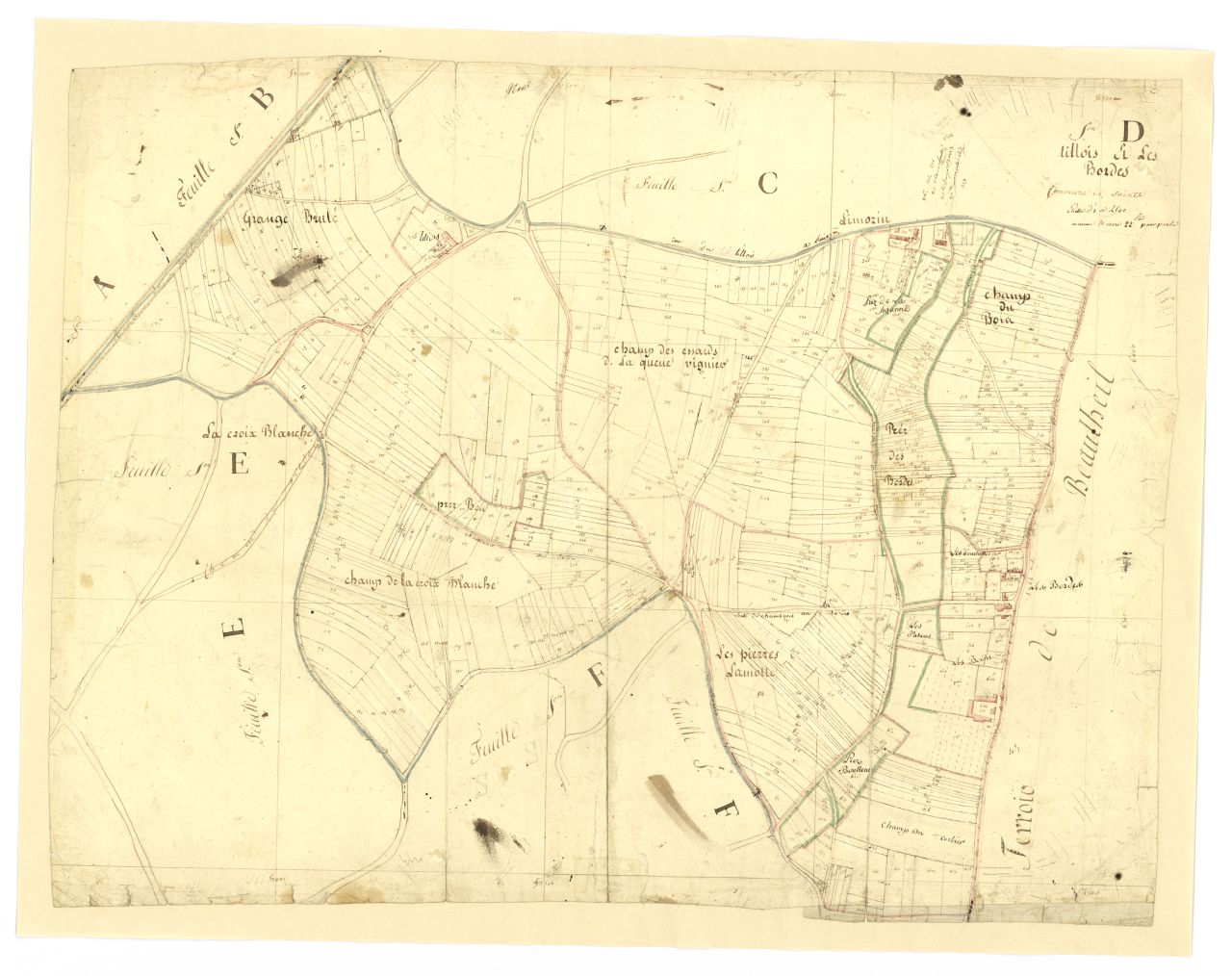 minute, section D