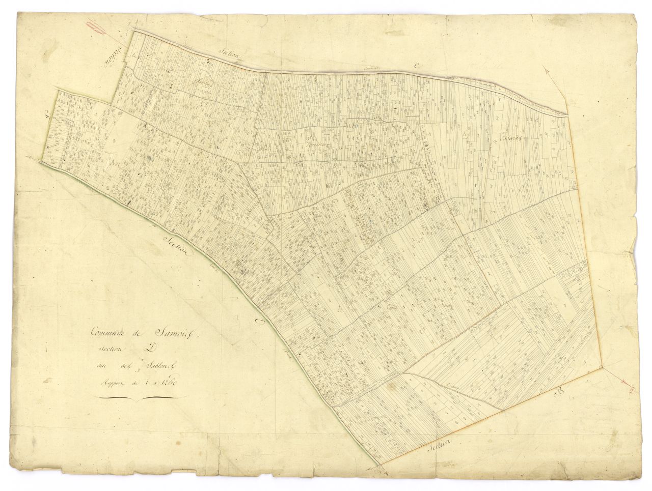 minute, section D