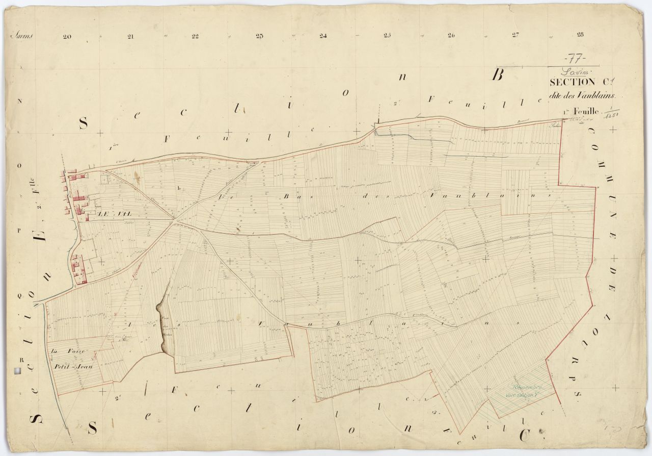 Section C1