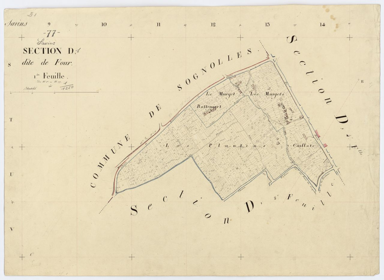 Section D1