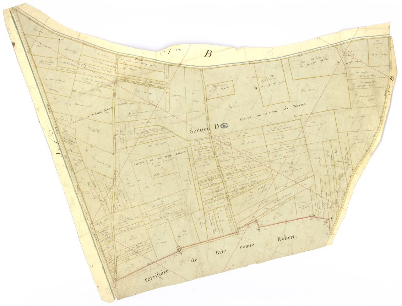 minute, section D